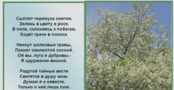 Онлайн чтение книги собрание стихотворений сыплет черемуха снегом